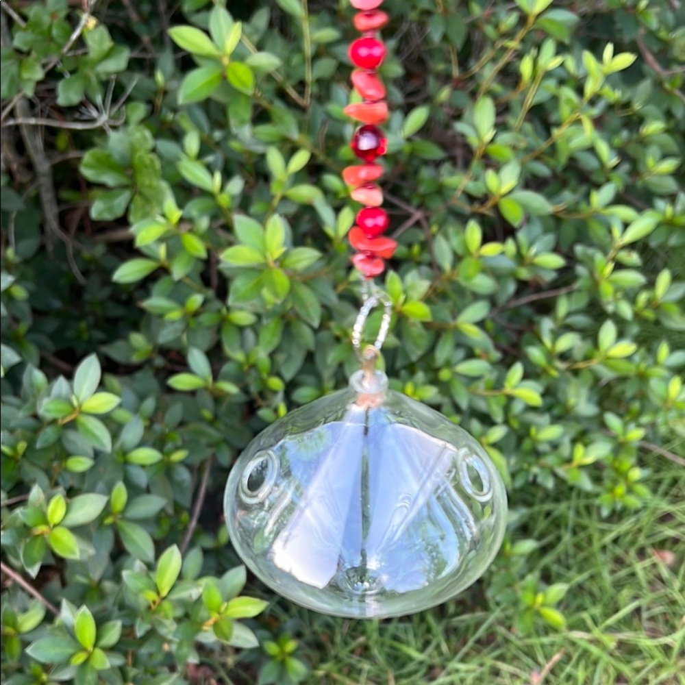 Red glass beaded Rooting Vessel, plant starter Sun Catcher